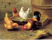 unknow artist Cocks 134 oil painting on canvas